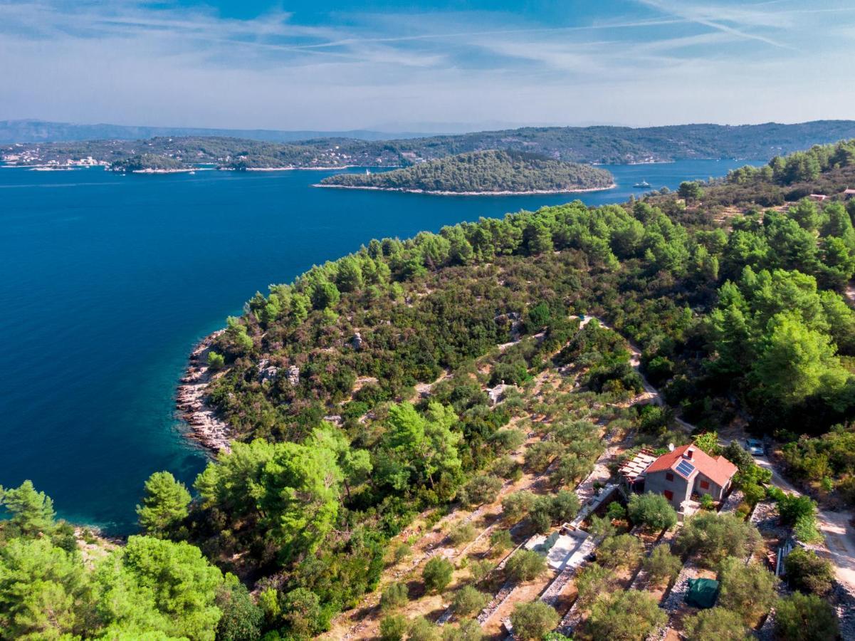 Holiday Home Maslinova Вела-Лука Экстерьер фото
